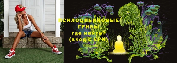 прущая мука Алексин